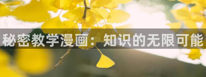 包子漫画在哪下载