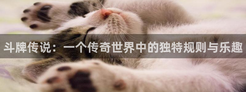 包子漫画app免费下载官网
