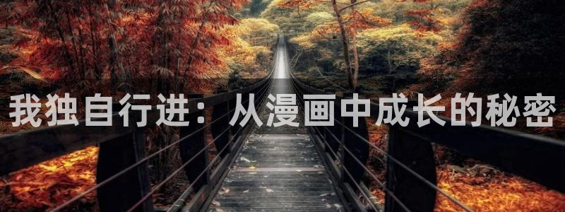 包子漫画在线观看页面入口