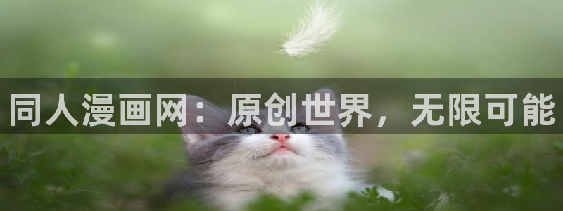 包子漫画全部