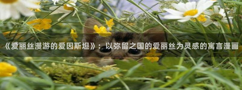 包子漫画a